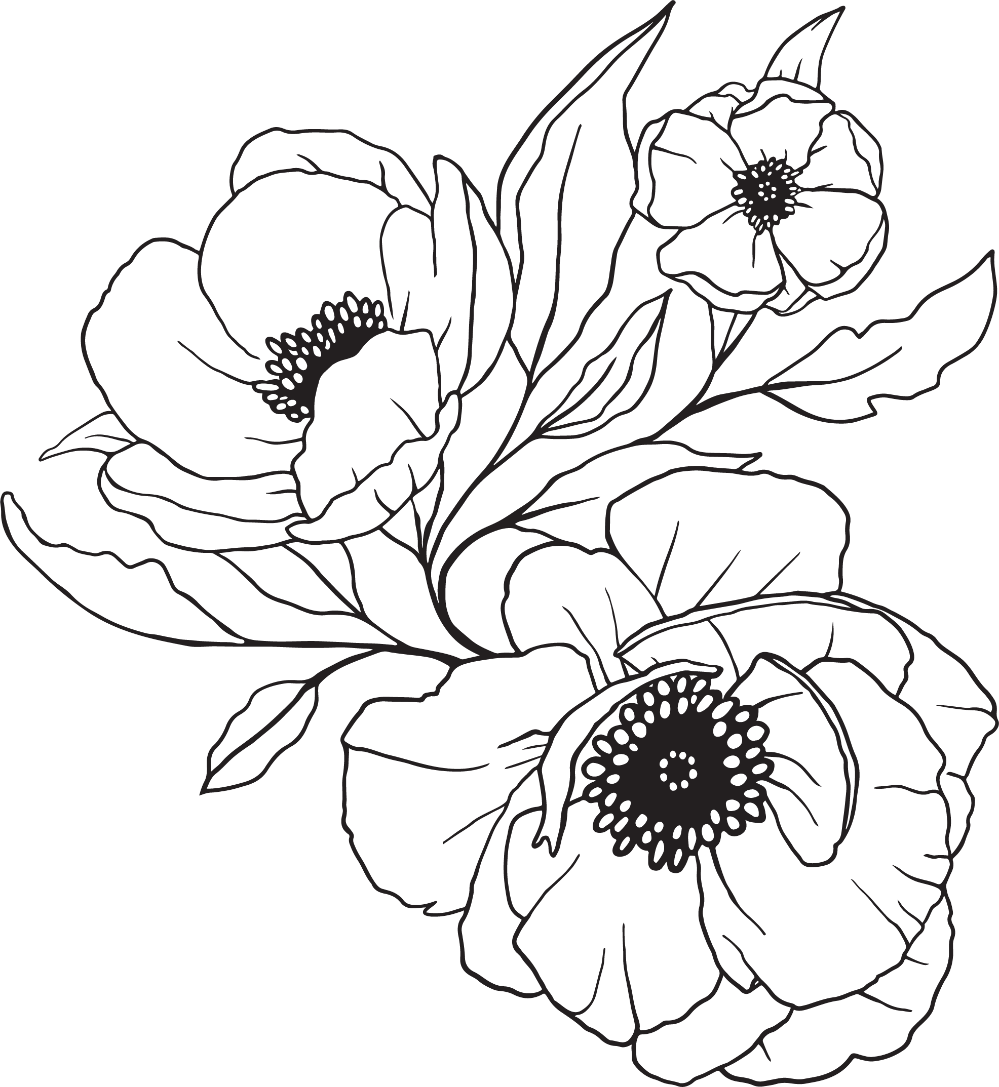 Boston & Burke Floral Design